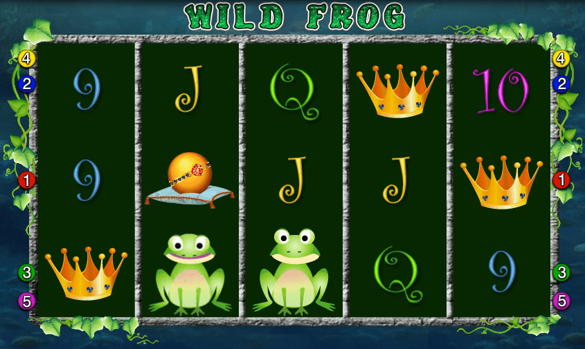 wild frog slot casino 2