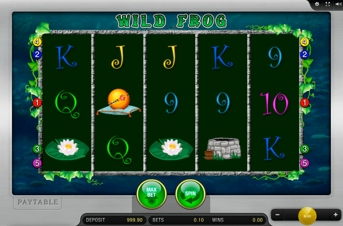 wild frog slot casino 1